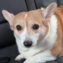 앞개포구 | 1️⃣2️⃣