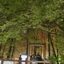 모미락 제물포 본점 이미지