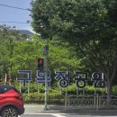 정관 구목정공원 | 🌹 기장 정관 구목정공원, 눈부신 5월의 장미 정원에서 인생샷 남기고 왔어요! (오늘 다녀온 후기) 📸