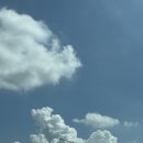 화서(영덕) | [왓츠인마이블로그챌린지] 당진영덕고속도로 하행 화서휴게소 먹거리 실황 솔직후기