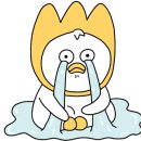 핫독애견 이미지