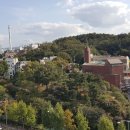 도레미공인중개사사무소 이미지