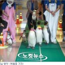 씨월드수족관 이미지