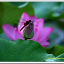 좋은사이 이미지