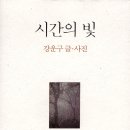 지식나무 이미지