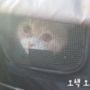 두류동물병원 이미지