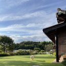 무릉도원흙집 | 충청도 충주 촌캉스 &#39;서유숙펜션&#39; 가온채 예약, 가격, 카페 서유숙, 저녁 포장 음식 추천 | 대형 댕댕이...