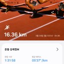 [2025. 3. 24. 월. 비.]-[유산소-16.36km, 적산-295.42km, 13~18℃, 06:21~18:38] 이미지