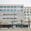 청하고려인삼 주식회사 | 다양한 언어 서비스가 가능한 고려 인삼 전문점 ➡️ 청하고려인삼