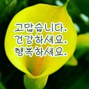 제일인사 이미지