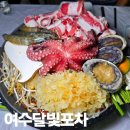 강남해안로 이미지