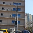 금창유리 이미지