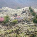 축제(동양화) 이미지