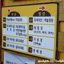 돼지문화원정원 네이버블로그