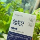닥터덴포 오라빅스 내돈내산 2개월 사용 잇몸변화후기