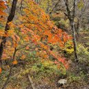 설악산(점봉산.망대암산.십이담계곡.타조바위.주전골.오색리) 이미지