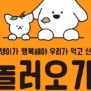 놀러오개 애견유치원 애견호텔 에버랜드점 이미지