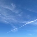 상곡1 | [지게차 운전기능사] 지게차 자격증 준비 및 합격 후기 Q-Net 실기 -2 내돈내산 내일배움카드 실기 부산...