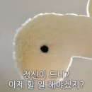엠스타 투어 이미지
