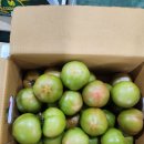 부산 찰토마토&amp;흑대추방울토마토!!!! 이미지