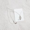 데일리플랜츠