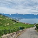 한양대학교 국제관광대학원 이미지