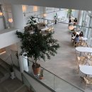 비에노즈 이미지