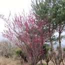 교가1리마을회관 이미지