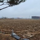 신리 1리 마을회관 이미지