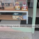 카페호야# 이미지