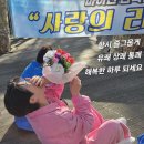 쉿!! 진님 몰래카메라 성공 💙 이미지