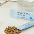 인셀덤진