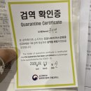 [세계여행/호주] 호주에서 한국 입국기 - 인천공항 유증상자 코로나검사