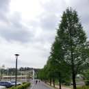 안성맞춤랜드공원5 이미지