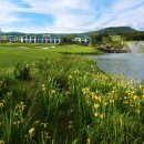 롯데스카이힐제주CC(회원제 18홀) 이미지