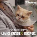 고양이병원 소설 이미지
