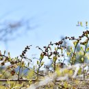 하루산책 이미지