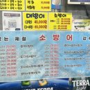 착한막회 이미지