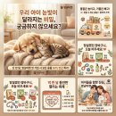 콘텐츠 마케터 5기 본캠프 24일차 소셜미디어(인스타그램,트위터x)의 카피 분석
