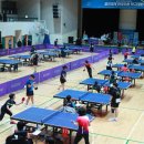 울진군민체육관 체육관 이미지