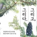 그리고그리다