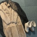 고양콘서트 트라우마 이미지