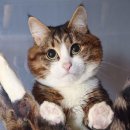 옵틱라이프 이미지