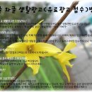 광고마을 이미지