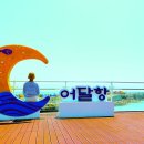 동해분교 국민일보