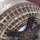 무진세탁 이미지