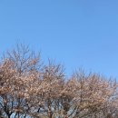 엉클캠프 이미지