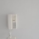 11단지비디오 이미지