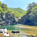 천일개발 | 양구 가볼만한곳 두타연 계곡 둘레길 예약방법 강원도 DMZ 투어