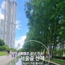 서울숲 공원 산책 후기｜포켓몬 행사 끝난 지금이 가장 여유로웠어요 (주차장·곤충식물원)